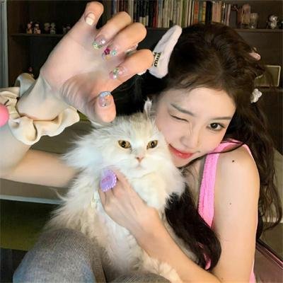 犬夜叉:红莲之蓬莱岛